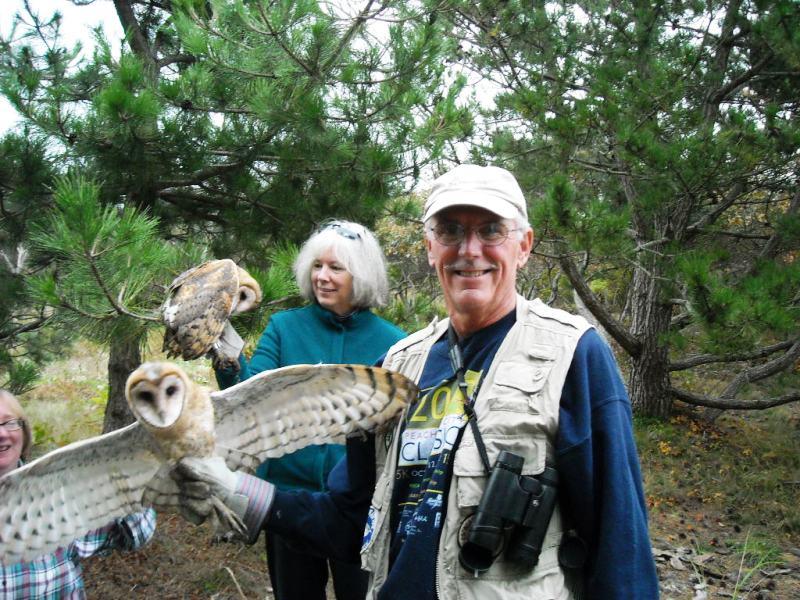 Barn Owl Banding